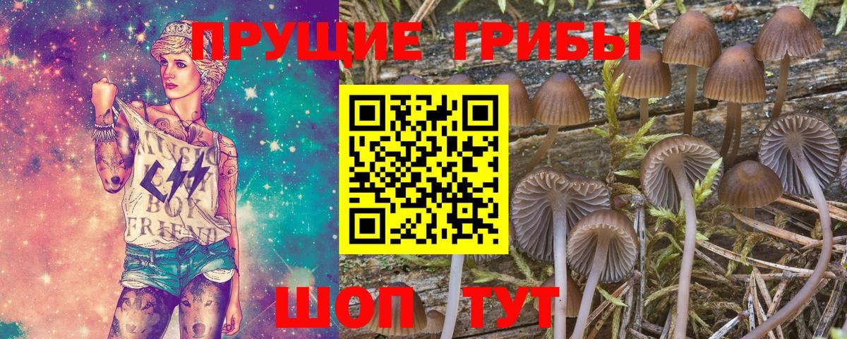 Галлюциногенные грибы мицелий  Вход с VPN  Нововоронеж 